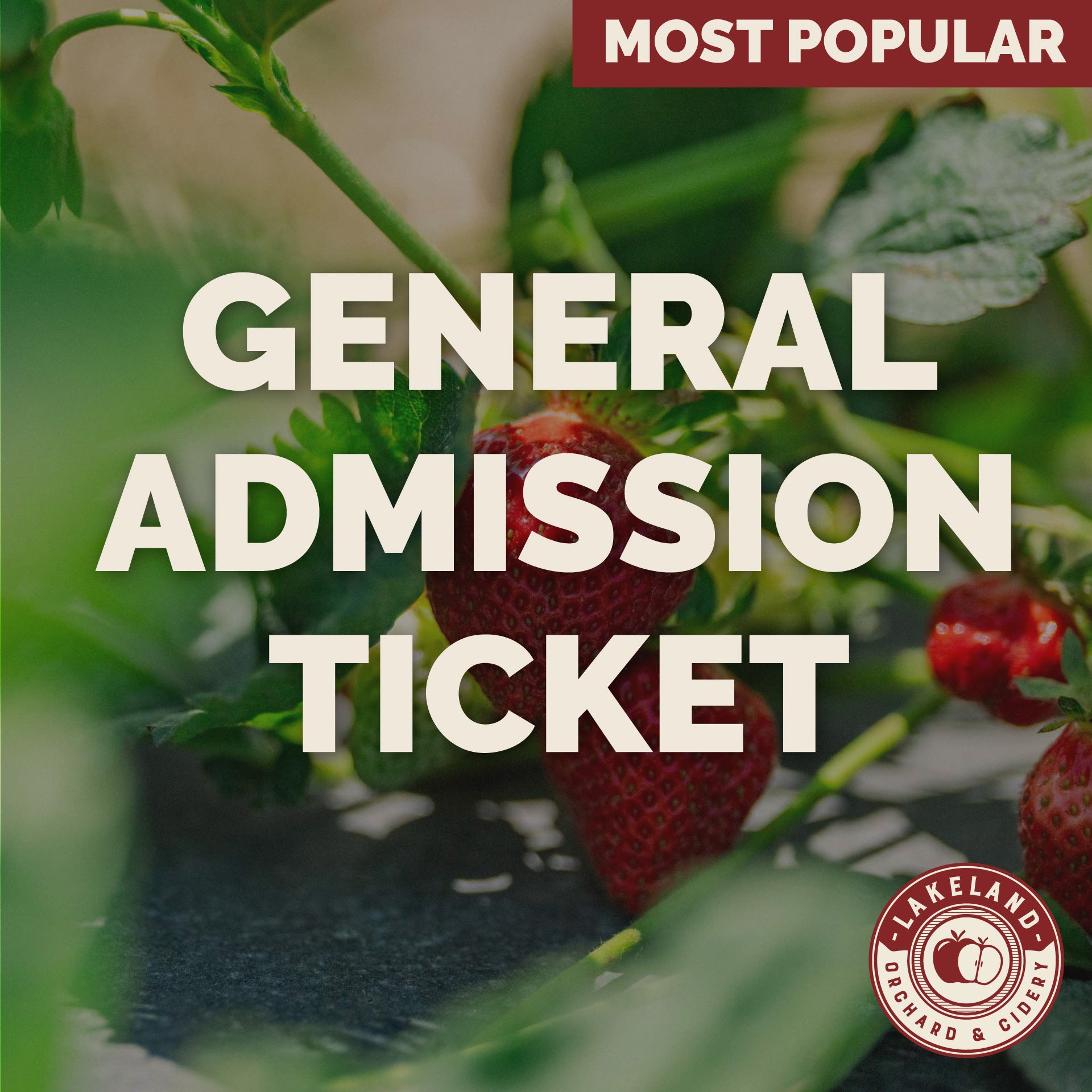 General Admission Ticket - Mother's Day Sale