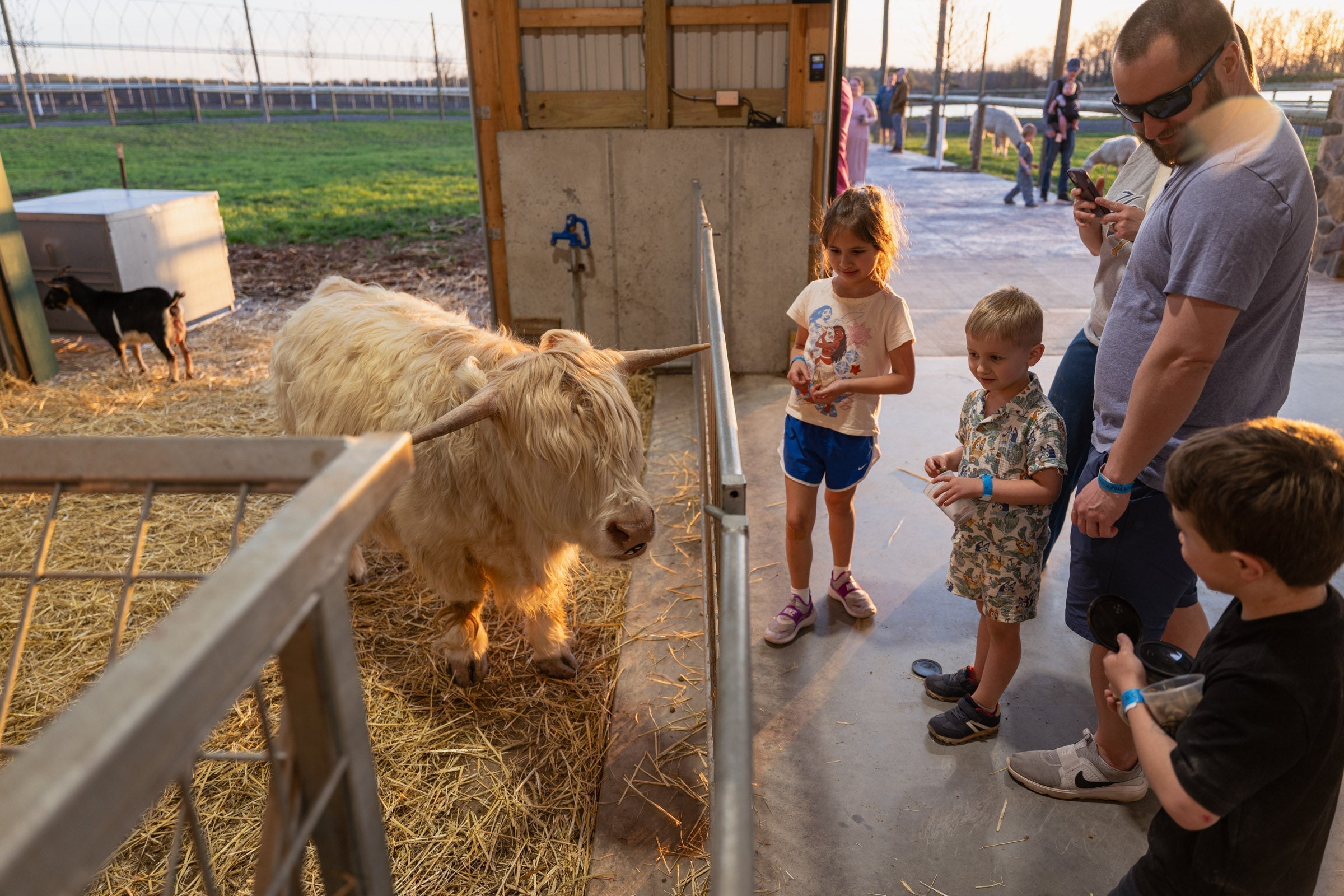 kids at petting zoo