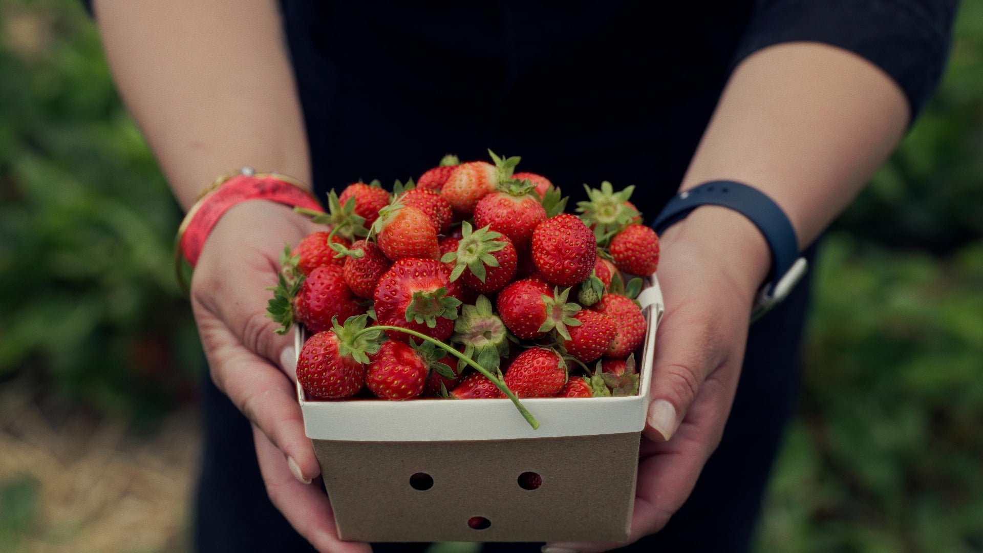 strawberry-festival-thumbnail-web-site-video-block-saved-for-web_K6fS.jpg